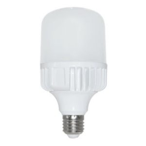 LED SIJALICA E27 30W BELA 6500